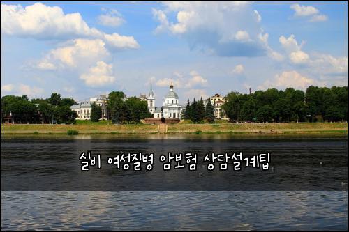 실비 여성질병 암보험 상담설계팁 