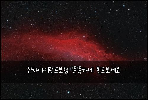 신차다이렉트보험 똑똑하네  힌트보세요