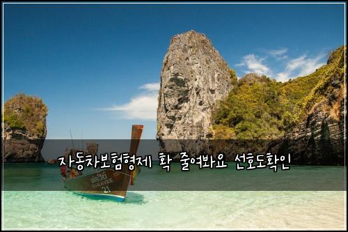 자동차보험형제 확 줄여봐요 선호도확인