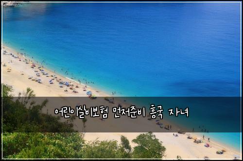 어린이실비보험 먼저준비  흥국 자녀