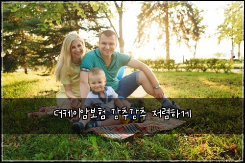 더케이암보험 강추강추  저렴하게