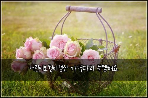 어린이보험비갱신 가격파괴 득템해요