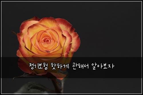 ์ ๊ธฐ๋ณดํ ํซํ๊ฒ ๊ดํด์ ์์๋ณด์