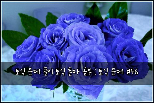 토익 문제 풀이 토익 혼자 공부 : 토익 문제 #46