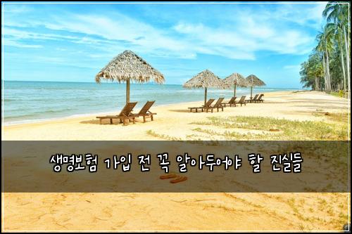 생명보험 가입 전 꼭 알아두어야 할 진실들