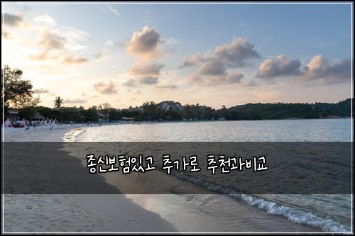 종신보험있고 추가로 추천과비교
