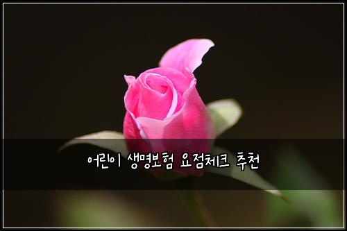 μ΄λ¦°μ΄ μλͺ
보ν μμ μ²΄ν¬ μΆμ²