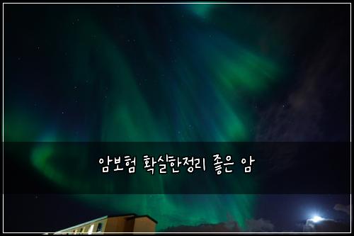 ์๋ณดํ ํ์คํ์ ๋ฆฌ ์ข์ ์