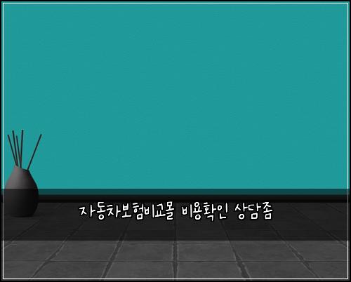 자동차보험비교몰 비용확인 상담좀