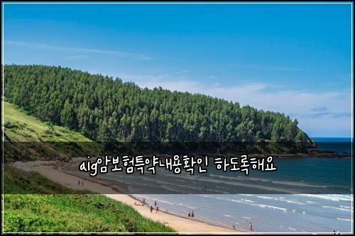 aig암보험특약내용확인 하도록해요