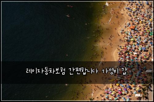 레이자동차보험 간편합니다  가성비 갑