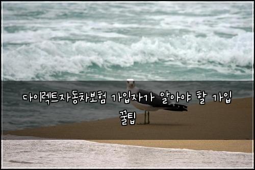 다이렉트자동차보험 가입자가 알아야 할 가입 꿀팁