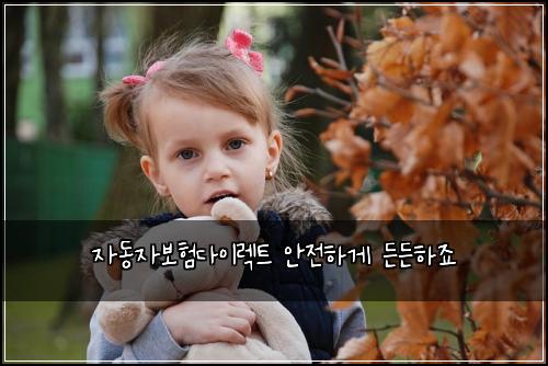 자동자보험다이렉트 안전하게 든든하죠