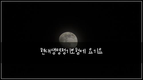 현대생명정기보험에 요기요