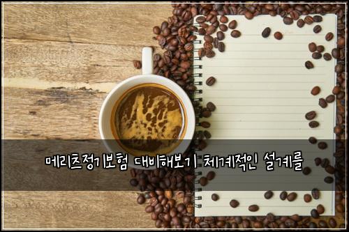메리츠정기보험 대비해보기  체계적인 설계를