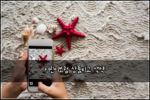 어린이보험 상품비교  색약