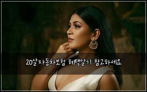 20์ด์๋์ฐจ๋ณดํ ํํ์๊ธฐ ์ฐธ๊ณ ํ์ธ์