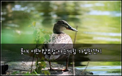 λ‘―λ μ΄λ¦°μ΄μ보ν μλκ²ν κ°μ
ν건μ§