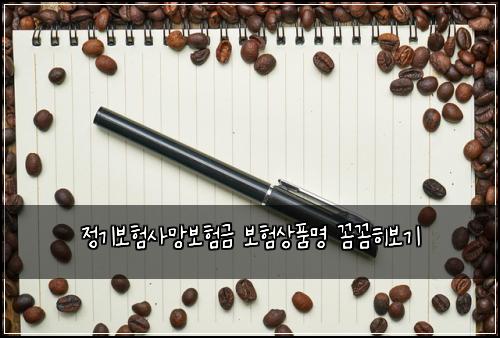 정기보험사망보험금 보험상품명 꼼꼼히보기