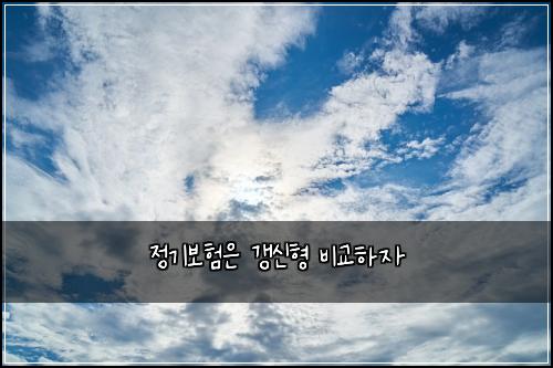 정기보험은 갱신형 비교하자