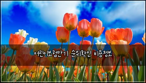 ์ด๋ฆฐ์ด๋ณดํ๋ง๊ธฐ ์์ํ์ธ ๋น์ฉ์ ๋ณด