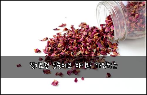 정기보험 집중체크  차이와 가입하는