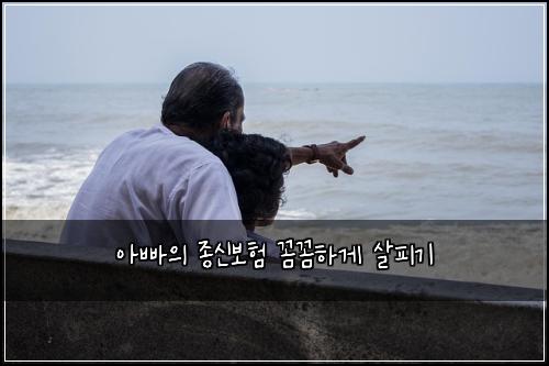 아빠의 종신보험 꼼꼼하게 살피기