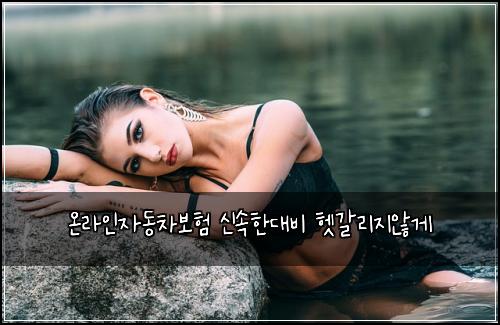 ์จ๋ผ์ธ์๋์ฐจ๋ณดํ ์ ์ํ๋๋น ํท๊ฐ๋ฆฌ์ง์๊ฒ