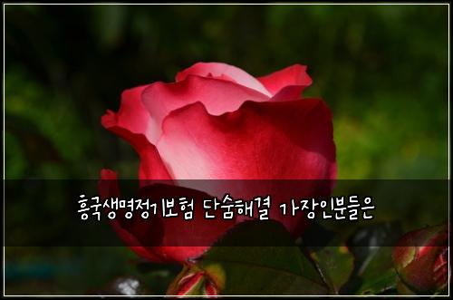 ν₯κ΅μλͺ
μ 기보ν λ¨μ¨ν΄κ²° κ°μ₯μΈλΆλ€μ