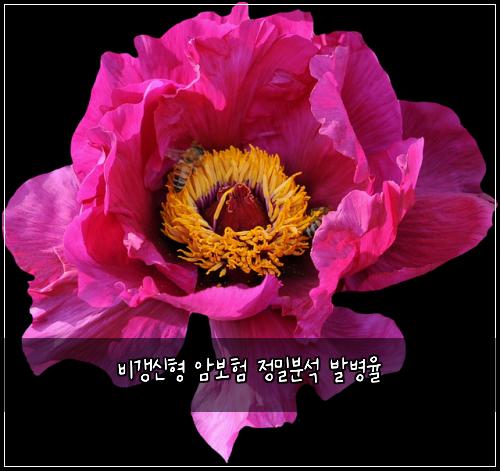 비갱신형 암보험 정밀분석  발병율