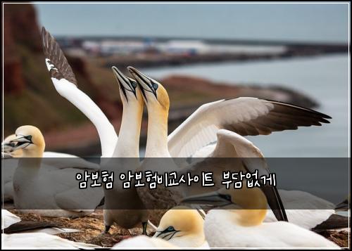 ์๋ณดํ ์๋ณดํ๋น๊ต์ฌ์ดํธ ๋ถ๋ด์๊ฒ