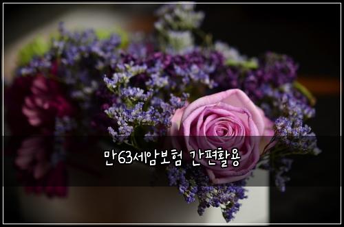 λ§63μΈμ보ν κ°νΈνμ©