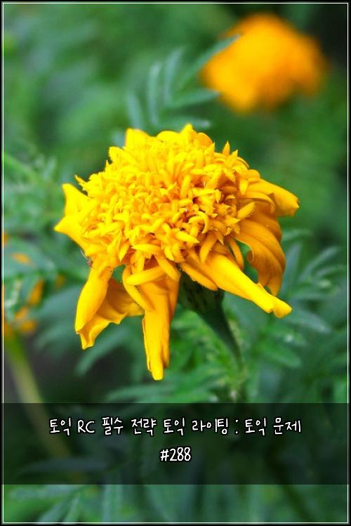 토익 RC 필수 전략 토익 라이팅 : 토익 문제 #288