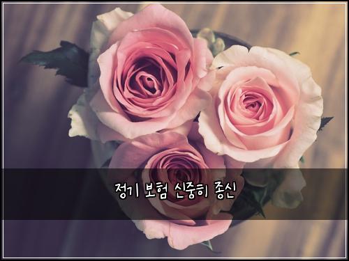 ์ ๊ธฐ ๋ณดํ ์ ์คํ ์ข
์