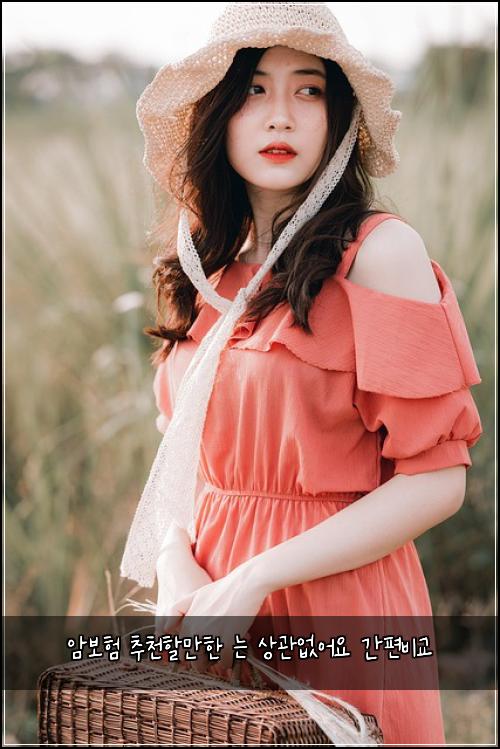 암보험 추천할만한  는 상관없어요 간편비교