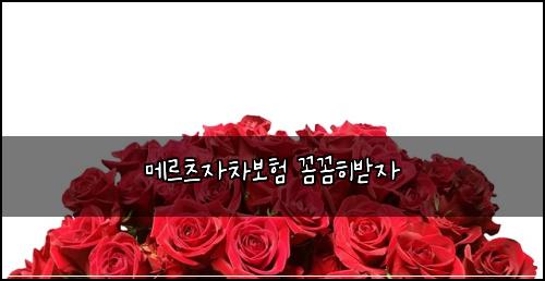 ๋ฉ๋ฅด์ธ ์์ฐจ๋ณดํ ๊ผผ๊ผผํ๋ฐ์