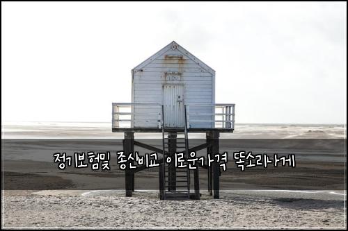 정기보험및 종신비교 이로운가격 똑소리나게
