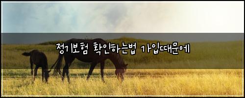 μ 기보ν νμΈνλλ² κ°μ
λλ¬Έμ