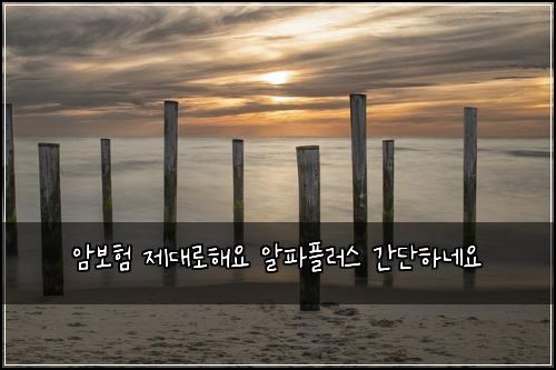 ์๋ณดํ ์ ๋๋กํด์ ์ํํ๋ฌ์ค ๊ฐ๋จํ๋ค์
