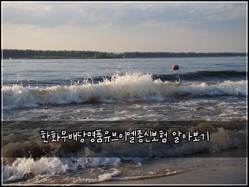 한화무배당명품유브이엘종신보험 알아보기