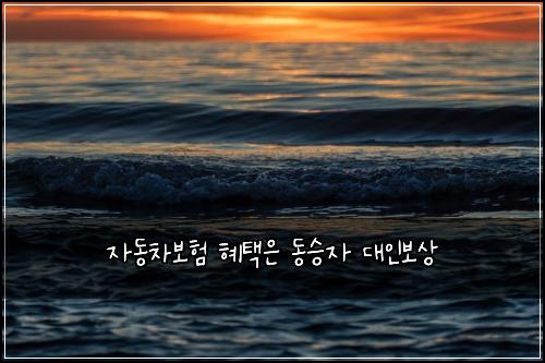 자동차보험 혜택은  동승자 대인보상