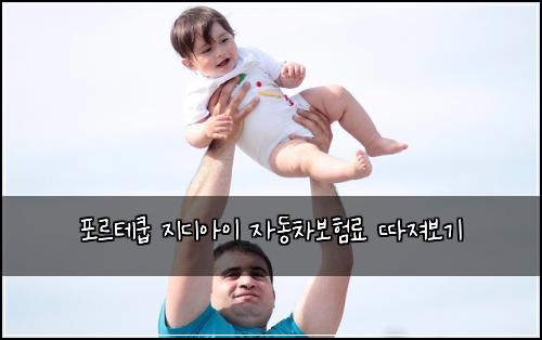 포르테쿱 지디아이 자동차보험료 따져보기