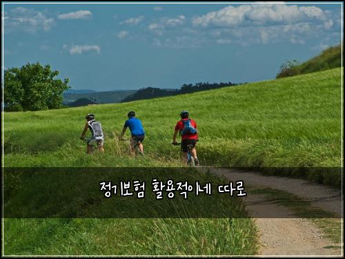 정기보험 활용적이네  따로