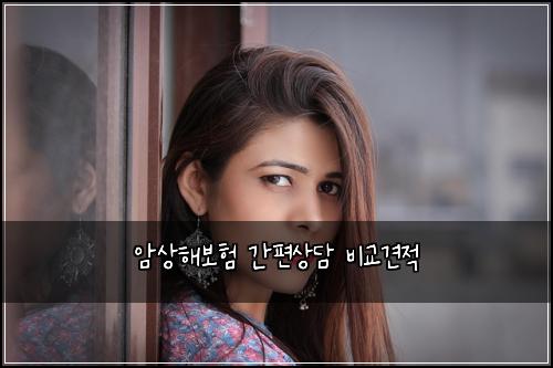 ์์ํด๋ณดํ ๊ฐํธ์๋ด ๋น๊ต๊ฒฌ์ 