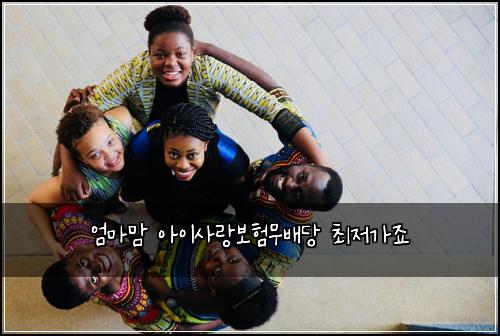 엄마맘 아이사랑보험무배당 최저가죠