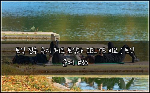 토익 점수 유지 체크 토익과 IELTS 비교 : 토익 문제 #80