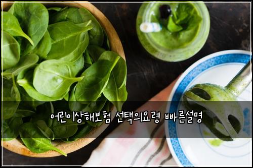 어린이상해보험 선택의요령  빠른설명