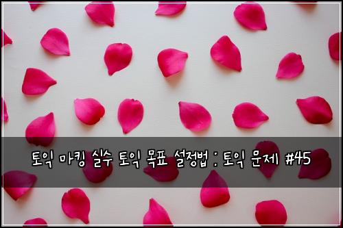 토익 마킹 실수 토익 목표 설정법 : 토익 문제 #45