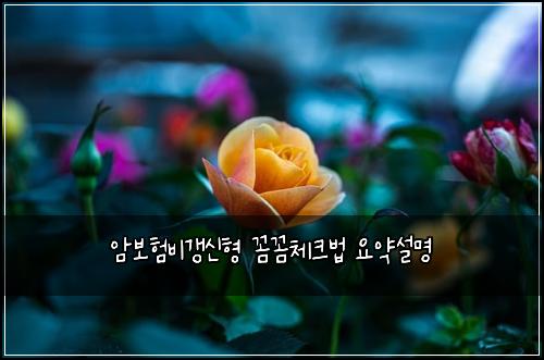 암보험비갱신형 꼼꼼체크법 요약설명