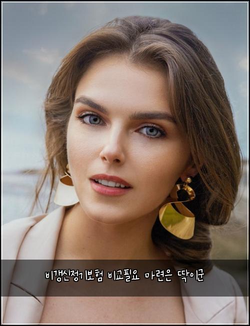 비갱신정기보험 비교필요  마련은 딱이군